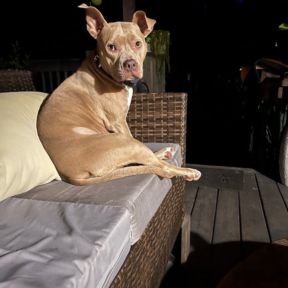 Meet your Posher, Jen - Picture 6 of 12